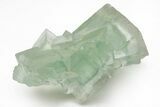 Green Cubic Fluorite Crystals with Phantoms - China #216247-3